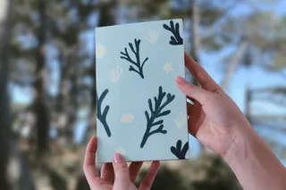 Carnet de notes A5 illustré - "Iodé", Détail du produit