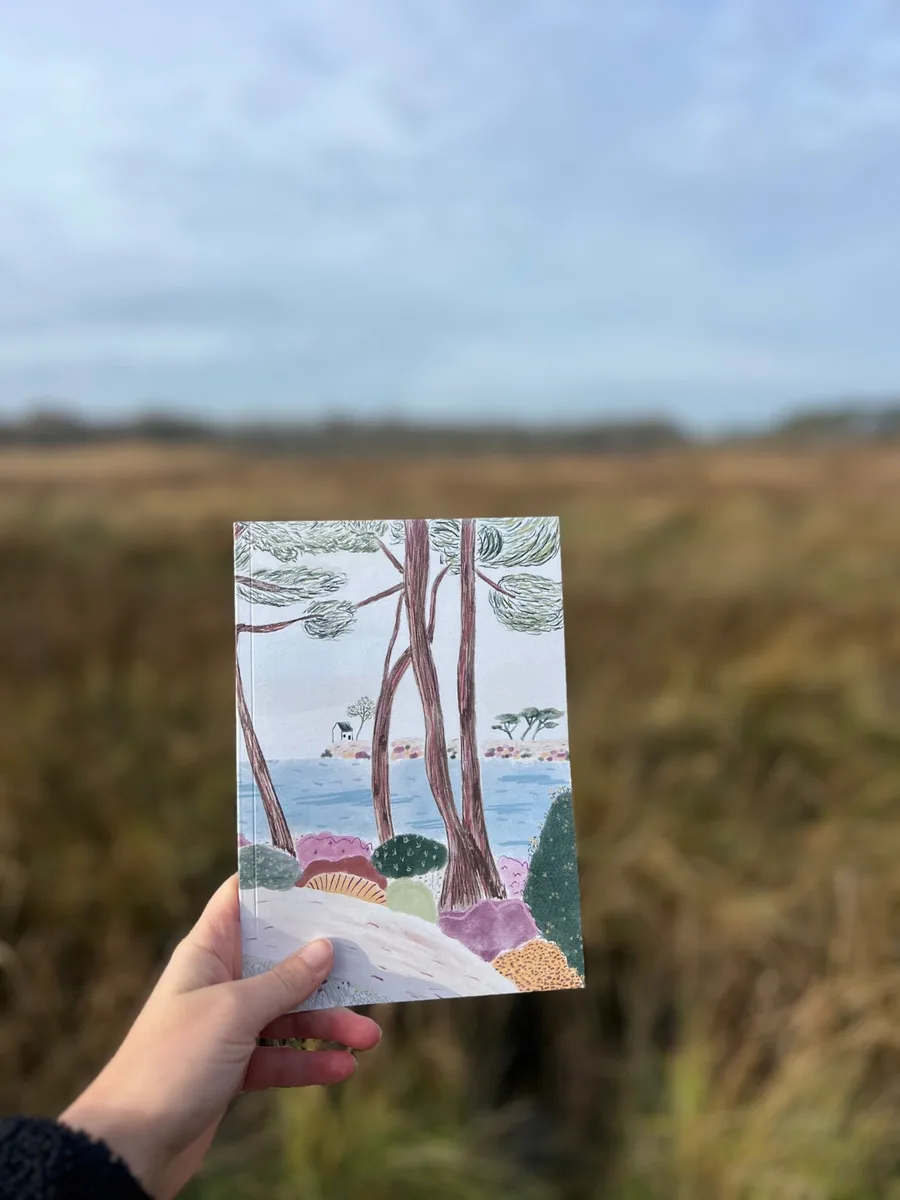 Par amour du dessin, depuis la Ria d'Étel