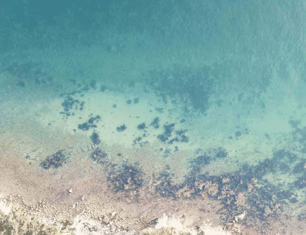 Petits Phares × Bretagne Destination Paradis : collaboration & atelier Morbihan