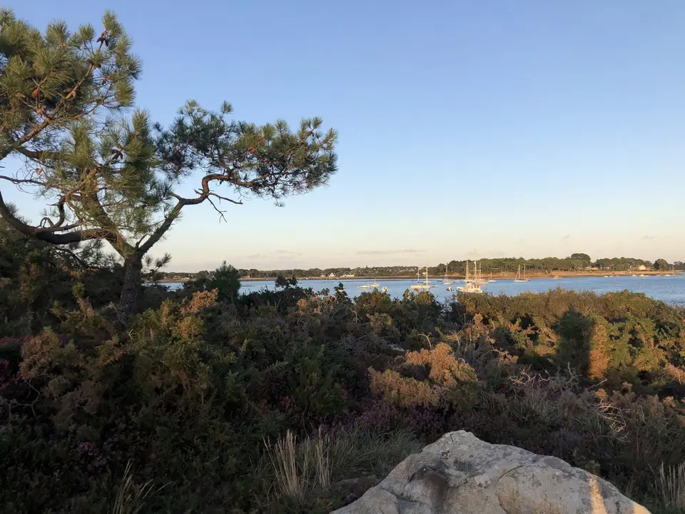 Paysage du Morbihan, mer et landes sous la lumière bretonne